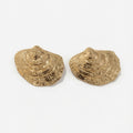 Gold Plated Large Shell Design Earrings