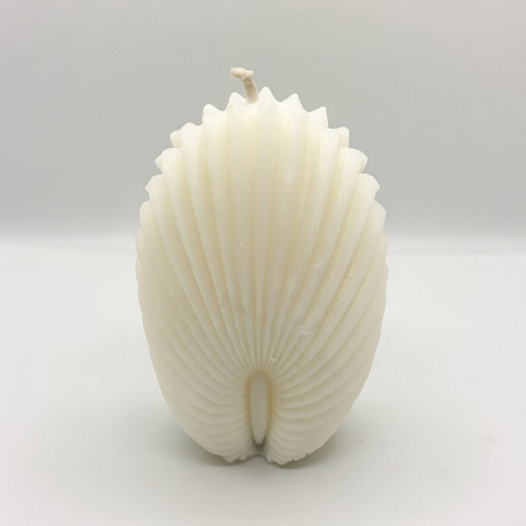 white soy shell candle , luxury decorative candle for house decor